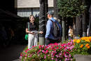Auckland's Hidden Stories - Small-group walking tour
